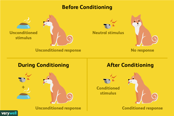 Classical conditioning: Principles and application in healthcare