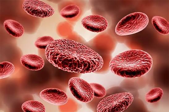 Common blood disorders (Anaemia, Leukemia, Hemophilia)