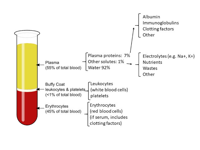 Figure: Components of blood following centrifugation showing plasma (55%), buffy coat (<1%), and erythrocytes (45%)