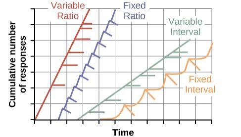 Figure 3: Graph comparing cumulative records of the four basic reinforcement schedules