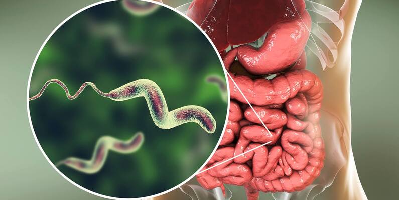 Diarrhoeal Diseases