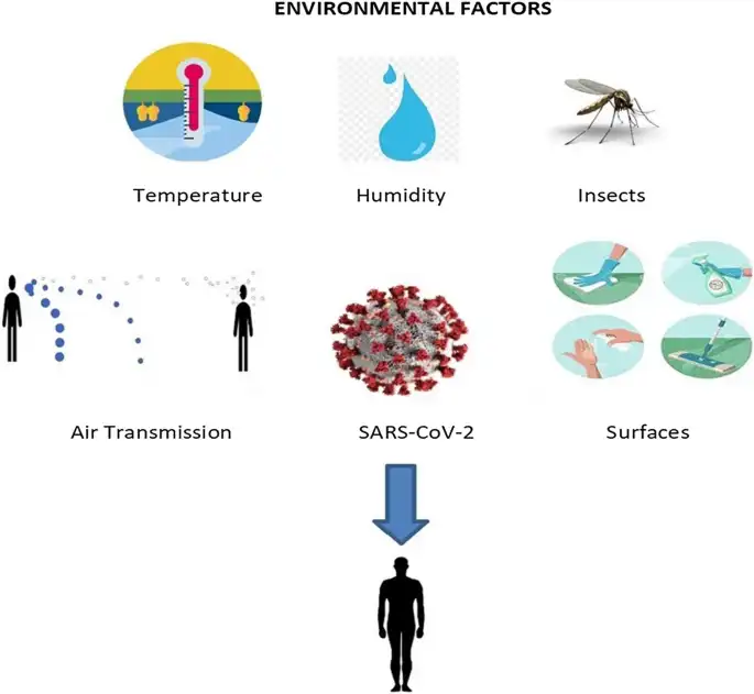 Factors Influencing Disease Transmission and Control