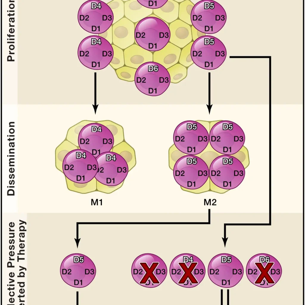 Genetic-Basis-of-Disease-and-Cancer-compressed