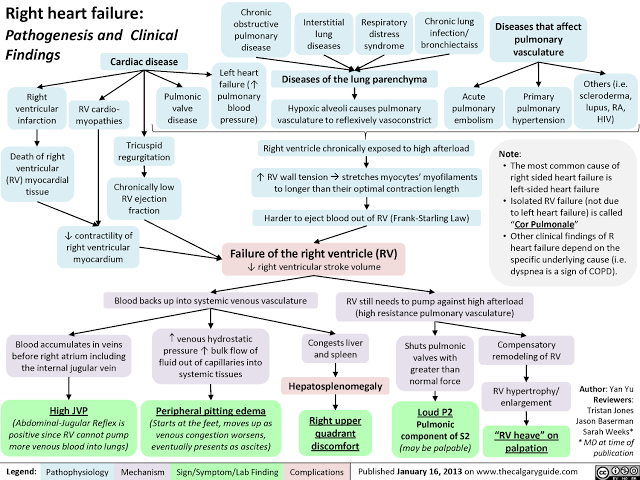 Figure 2: Pathogenesis and clinical findings of right heart failure including JVP, edema, and hepatosplenomegaly