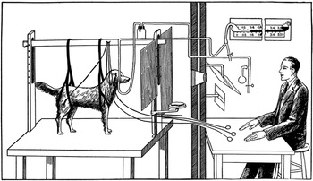 Figure 1.3: Pavlov's experimental setup for studying the conditioned salivary reflex in the dog. Saliva was collected through a fistula and measured to record conditioned responses.