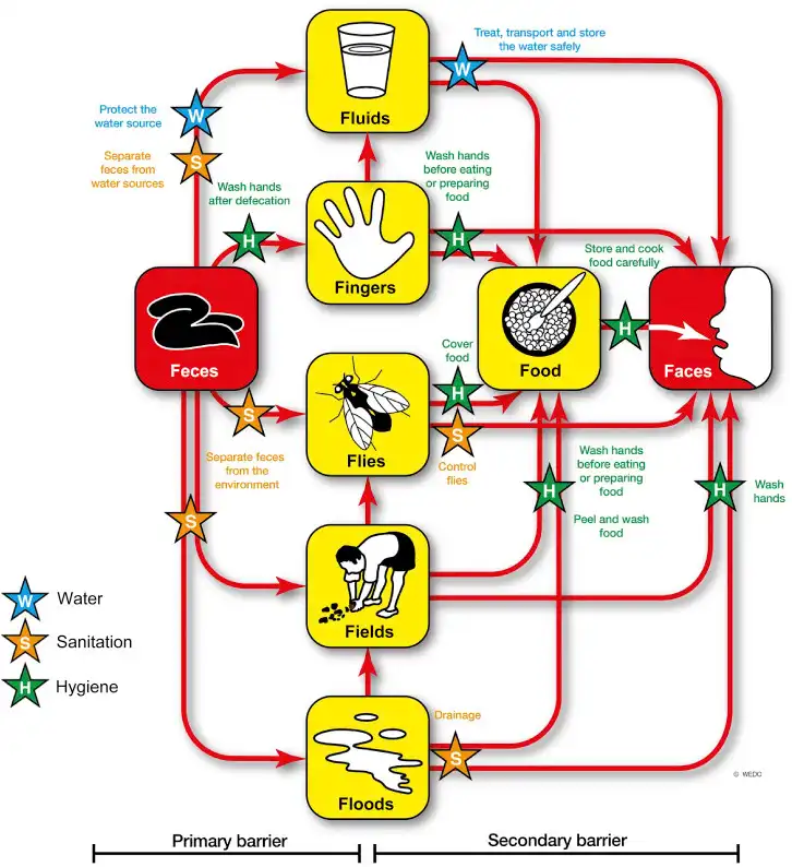 Principles of Infectious Disease