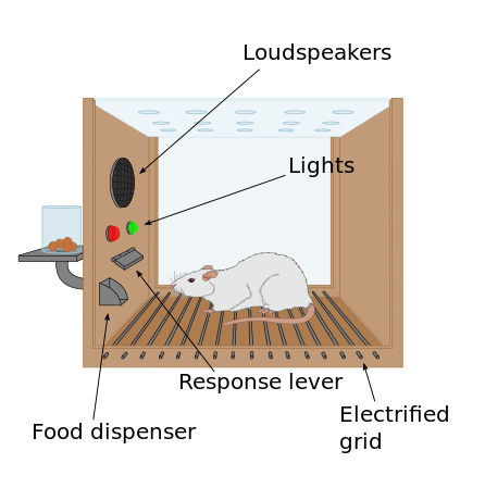 Figure 1: The Skinner Box showing the response lever, food dispenser, lights (discriminative stimuli), and electrified grid
