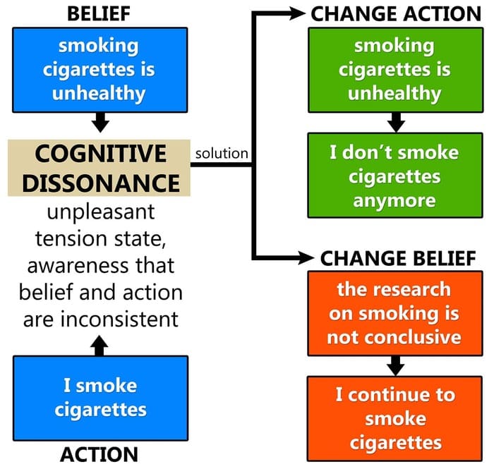 Figure 3: Motivational Processes Underlying Cognitive Dissonance after Reeve (2009)