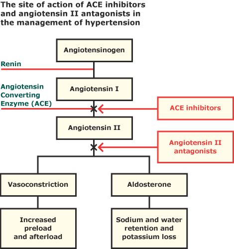 https://doctorsrevisionuganda.com/ace-inhibitors-pharmacology-uses-doses-adverse-effects-nursing-considerations/