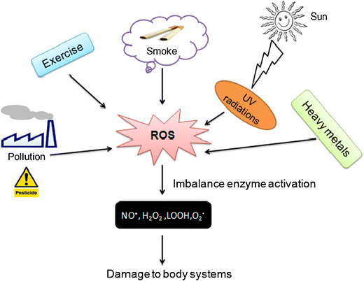 Environmental Etiologic Stressors Diagram