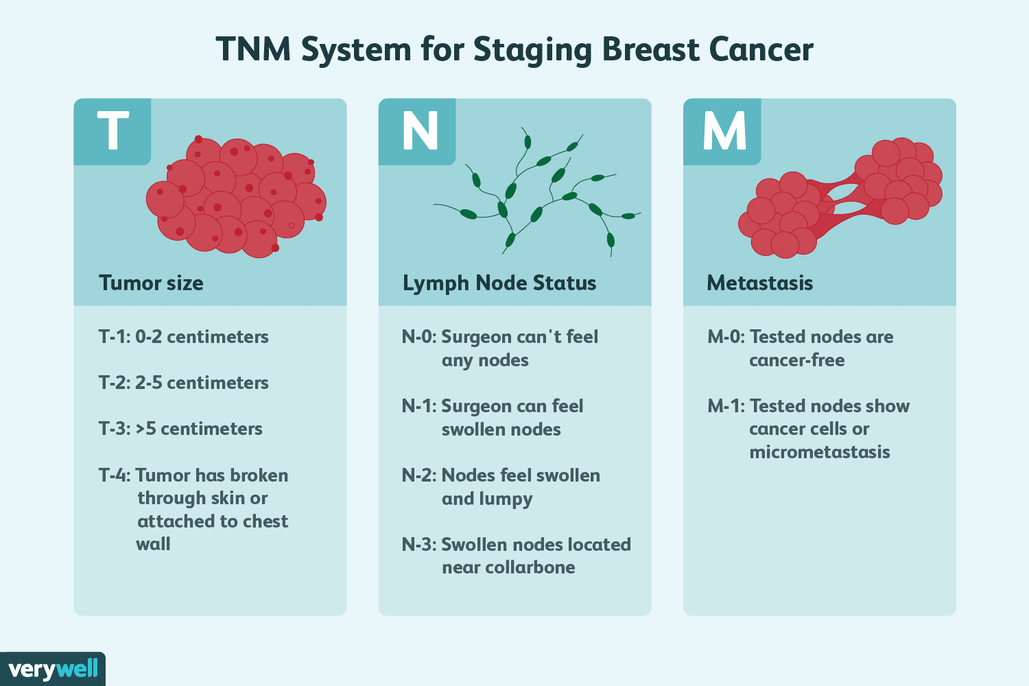Diagram of the TNM Staging System showing tumor size, nodal spread, and distant metastasis