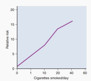 Dose-response curve showing the exponential relationship between daily cigarette consumption and relative risk of lung cancer