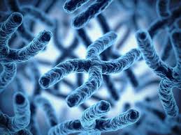 Genetic disorders