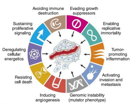 Hanahan and Weinberg Hallmarks of Cancer circular diagram