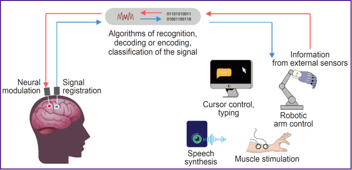 Cortical Neurorecording and Motor Interface Diagram