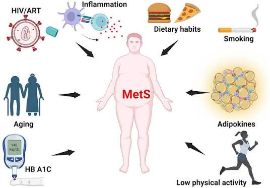 Illustration of nutritional excess and metabolic complications