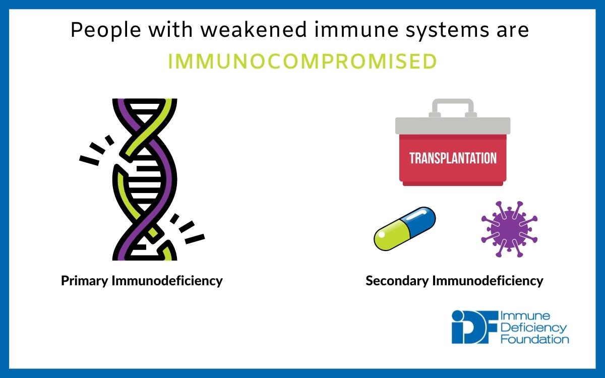 Primary versus Secondary Immunodeficiency comparison