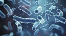 Scanning electron micrograph of bacterial microorganisms